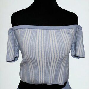 Aerie Light Blue Top Off the Shoulder Top